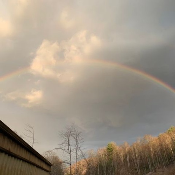 Meet your Posher, Elizabeth - Picture 1 of 1